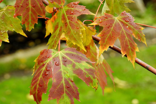 1740798 (a): :2560x1707